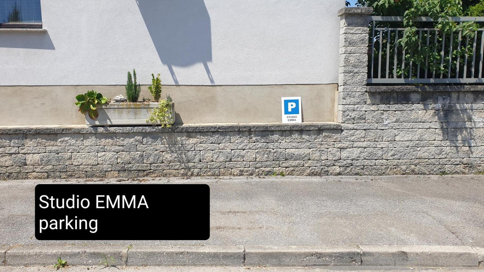 Studio Emma Ljubljana - Free Parking, Ac, Wifi Extérieur photo